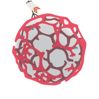 Coral Reef