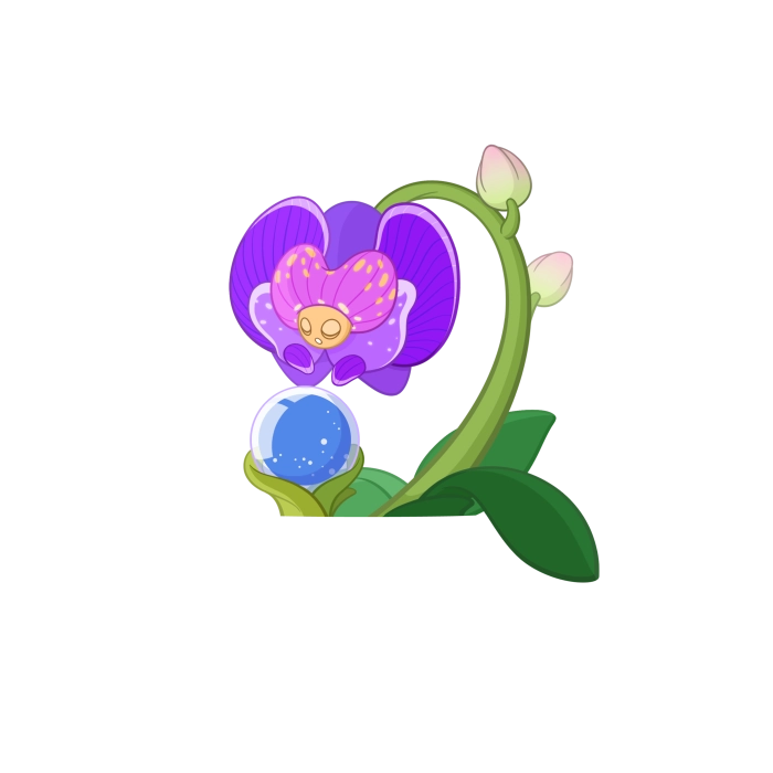 Oracle of Orchid
